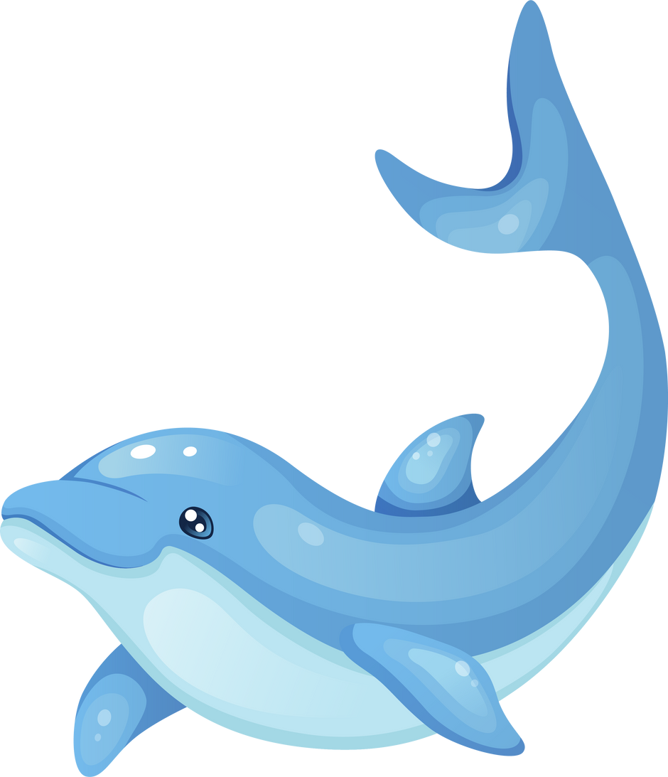 dolphin